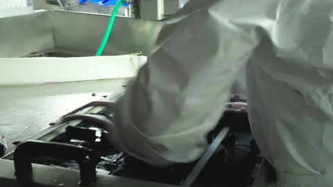  Sorting freshly caught fish Stock Footage 162283096