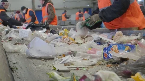 Sorting of garbage on the conveyor of the waste recycling plant, Russia Stock Footage 101948914