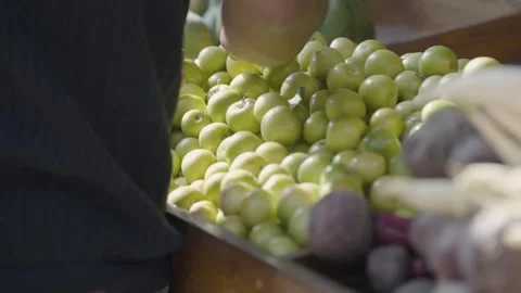 Sorting Green Apples at Market Stock Footage 317781909