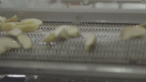 Sorting line apples at the factory. The process of washing apples in a juice Stock Footage 167428068