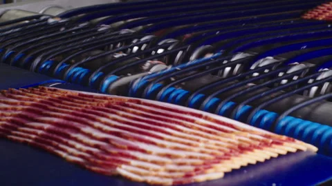 Sorting line of industrial enterprise. The layout of cut bacon is in order that Stock Footage 205489873