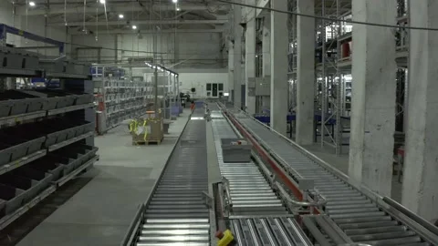 In the sorting logistics center Stock Footage 226248388