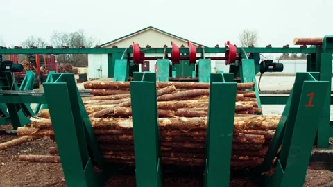 Sorting logs on the conveyor. Woodworking, work with wood. Preparation of wood Stock-Footage 174180243