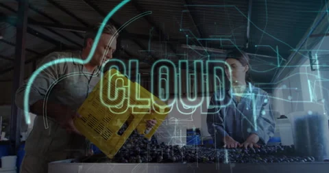 Sorting olives, workers using cloud technology animation overlay in factory Stock Footage 304842773
