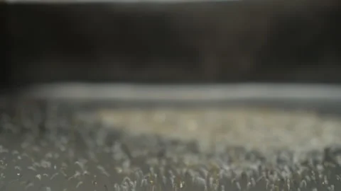 Sorting out the gathered rocks at the quarry for precious metal extraction Stock Footage 247227047