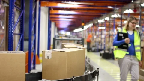 Sorting Parcels at Conveyor inside warehouse Stock Footage 91004530