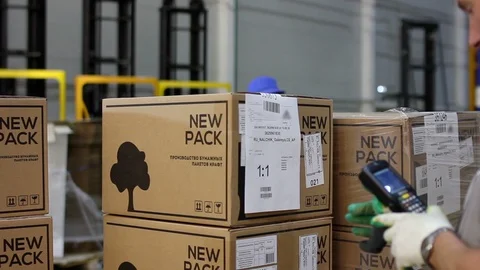 Sorting Parcels at Conveyor inside warehouse Stock Footage 91005149