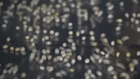 Sorting pea seed on the elevator Video stock 102506081