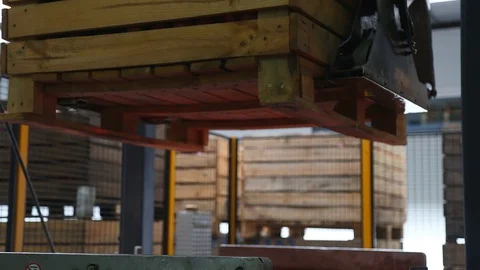 Sorting of red apples. The sorting line sorts the Red Chiff apple. Clean and Stock-Footage 128516309