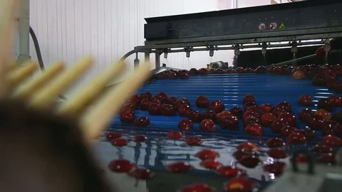 Sorting of red apples. The sorting line sorts the Red Chiff apple. Clean and Stock-Footage 128516386