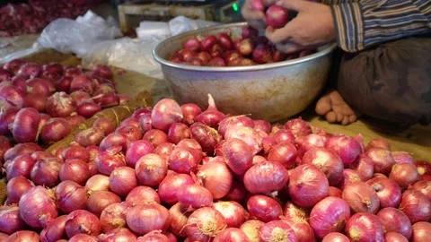 Sorting Red Onions Stock Footage 336429252