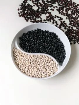 Sorting red white black beans by color in the menagerie Stock Photos