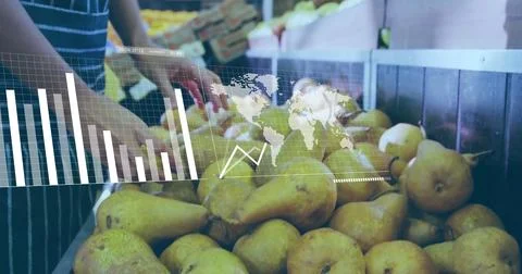 Sorting striped-apron clerk checking yellow-green pears in wooden crate at Stock Photos