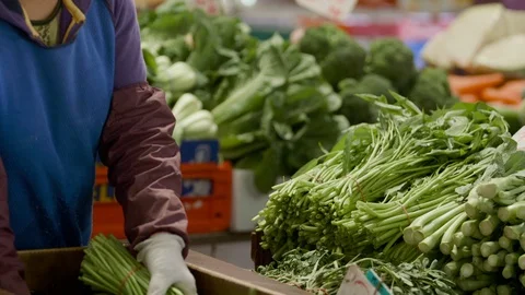 Sorting vegetables Stock Footage 89742635