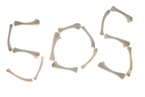 Sos Stock Illustration