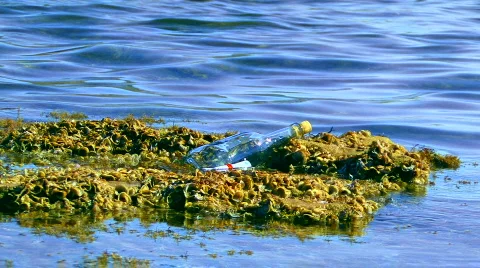 SOS in a Sea 動画素材 584985