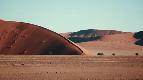 Sossusvlei and Deadvlei . Namibia. Stock Footage 299943628