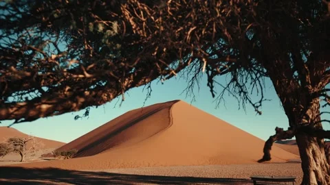 Sossusvlei and Deadvlei . Namibia. Stock Footage 299944164