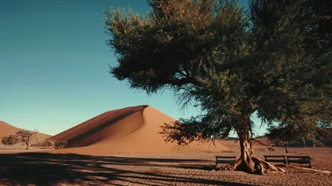 Sossusvlei and Deadvlei . Namibia. Stock Footage 299944203