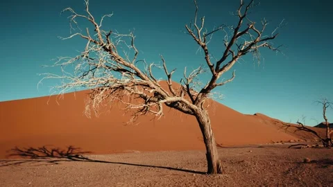 Sossusvlei and Deadvlei . Namibia. Stock Footage 299944241
