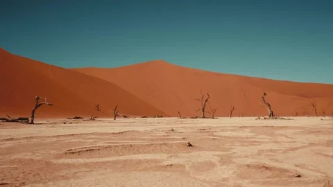 Sossusvlei and Deadvlei . Namibia. Stock Footage 299944956