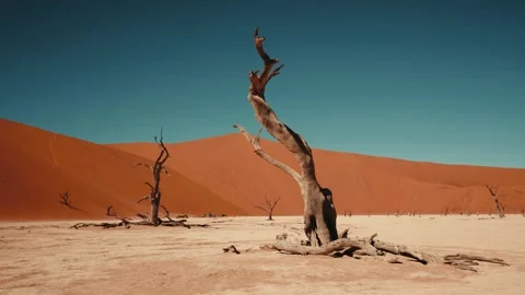 Sossusvlei and Deadvlei . Namibia. Stock Footage 299944993
