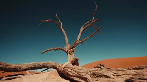 Sossusvlei and Deadvlei . Namibia. Stock Footage 299945017