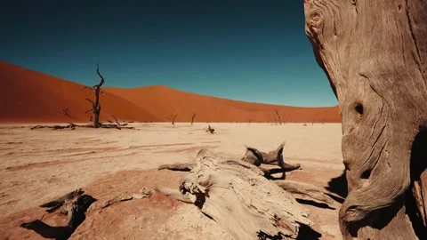 Sossusvlei and Deadvlei . Namibia. Stock Footage 299945019