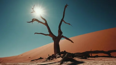 Sossusvlei and Deadvlei . Namibia. Stock Footage 299945021