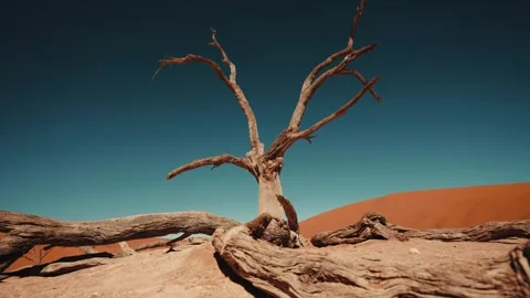 Sossusvlei and Deadvlei . Namibia. Stock Footage 299945035