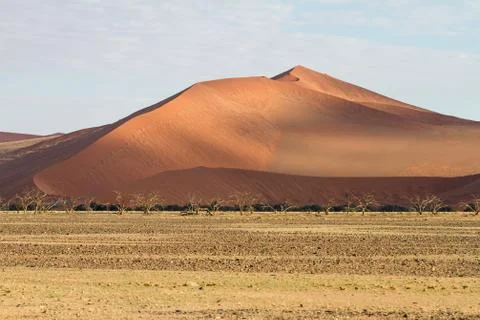 Sossusvlei desert, namibia Stock Photos