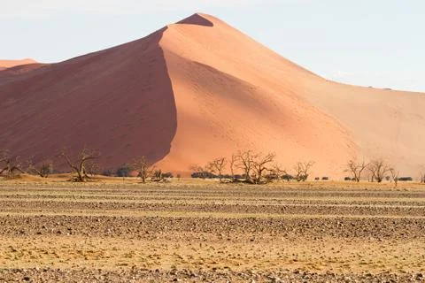 Sossusvlei desert, namibia Stock Photos