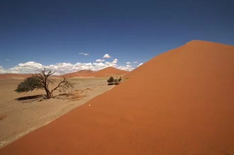 Sossusvlei dunes Stock Photos