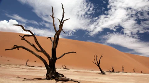 Sossusvlei Stock Footage 35167156