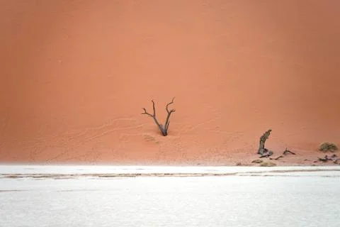 Sossusvlei, Namibia Stock Photos