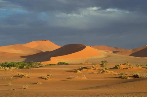 Sossusvlei - Namibia 写真素材