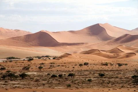 Sossusvlei park, namibia 스톡 사진