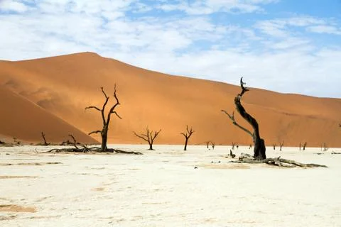 Sossusvlei park, namibia Stock Photos