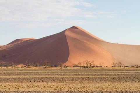 Sossusvlei park, namibia Stock Photos