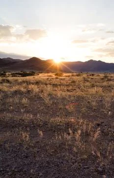 Sossusvlei park, namibia Stock Photos