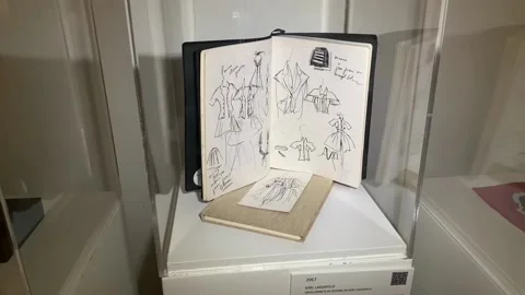 Sotheby's France auctions personal objects, designs of Karl Lagerfeld, París, FR Stock Footage 204090592