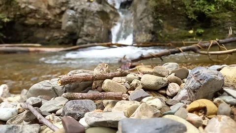 Soud of natur Stock Footage 237788635