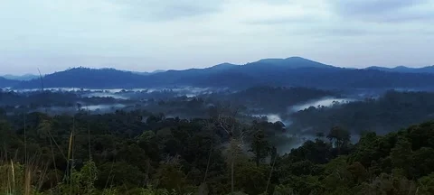 Soud of nature Stock Footage 241778754