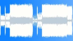 Soul Fish (extend)Stock Music