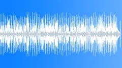 Soul Funk Booty Slap No 08 Slap Bass Funk 228 C 110 bpm Stock Music