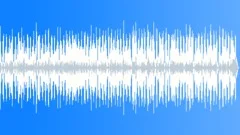 Soul Funk Booty Slap No 09 Slap Bass Funk 338 C 110 bpm Stock Music