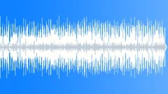 Soul Funk Booty Slap No 12 Slap Bass Funk 338 D 110 bpm Stock Music