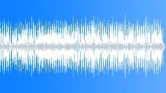 Soul Funk Booty Slap No 15 Slap Bass Funk 338 E 110 bpm Stock Music