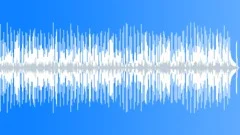 Soul Funk Booty Slap No 17 Slap Bass Funk 228 F 110 bpm Stock Music