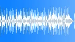 Soul Funk Booty Slap No 04 Slap Bass Funk 118 B 110 bpm Stock Music